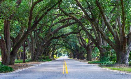 Proveedor de Internet Breezeline en South Carolina